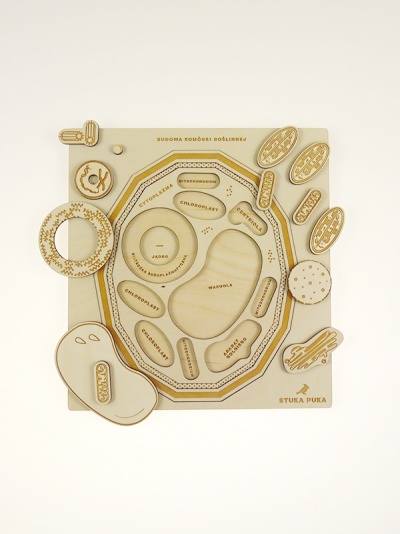 Puzzle A Célula Vegetal