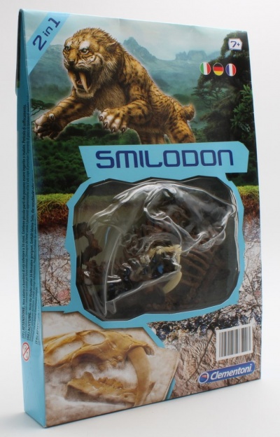 Fóssil de Smilodon
