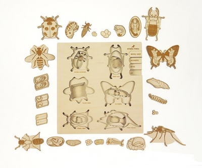 Puzzle Vida de Insecto
