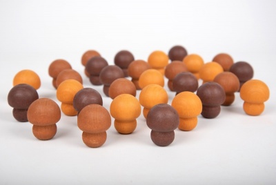 Tesouros de Madeira - Cogumelos