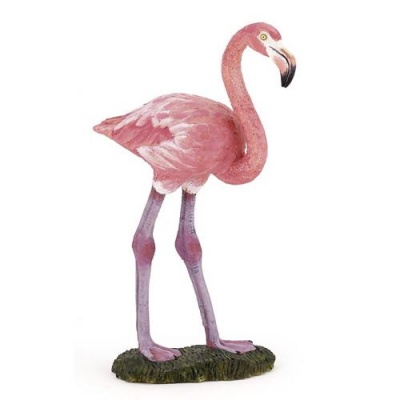 Flamingo Rosa