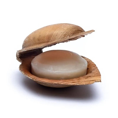 Sabonete redondo branco dentro de uma concha natural aberta