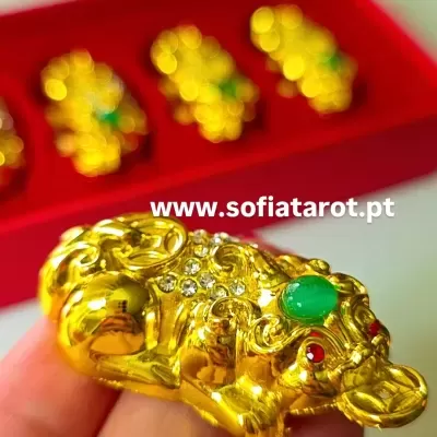 🐉 Amuleto : Dragão Pixiu com Moeda Feng Shui e Cristal da Sorte ✨