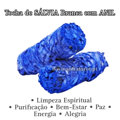 Tochas de sálvia branca tingida de azul com textura seca