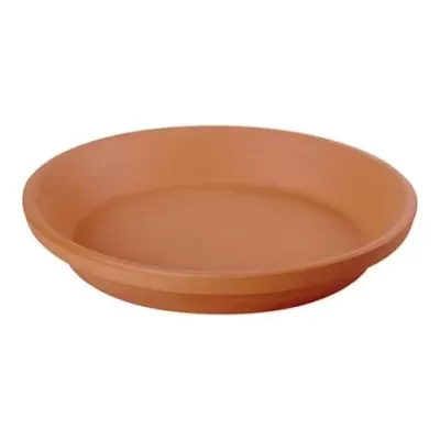 Prato de Barro