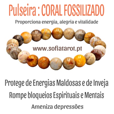 Pulseira : CORAL FOSSILIZADO