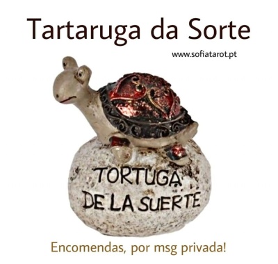 TARTARUGA da SORTE