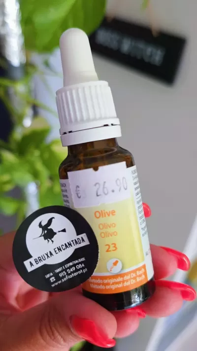 Floral de Bach _ CANSAÇO EXTREMO FÍSICO e MENTAL