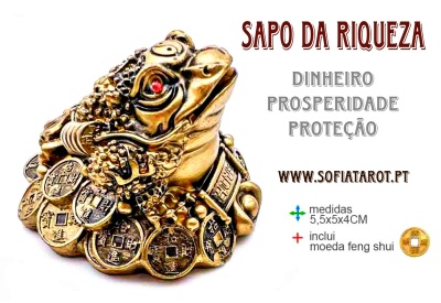 SAPO DA RIQUEZA - Feng-Shui