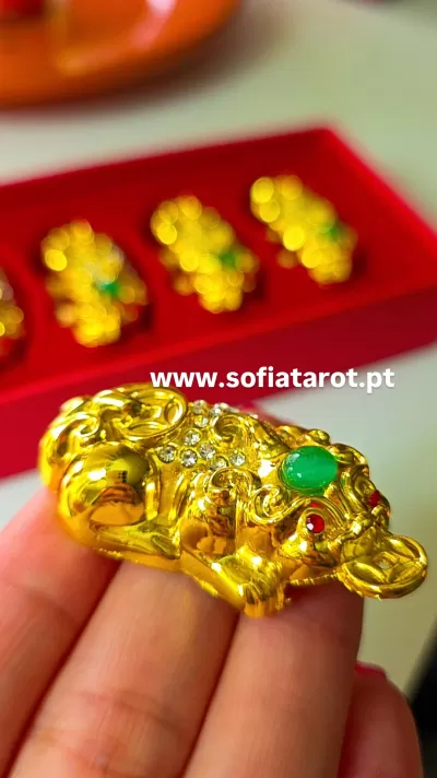 🐉 Amuleto : Dragão Pixiu com Moeda Feng Shui e Cristal da Sorte ✨