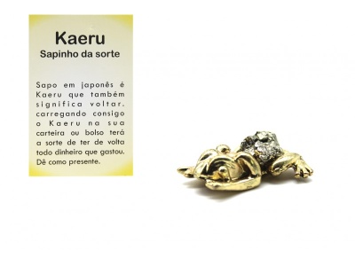 O SAPO do DINHEIRO - KAERU com Pirite