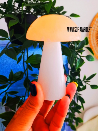 Cogumelo da PURIFICAÇÃO _ Selenite Laranja 