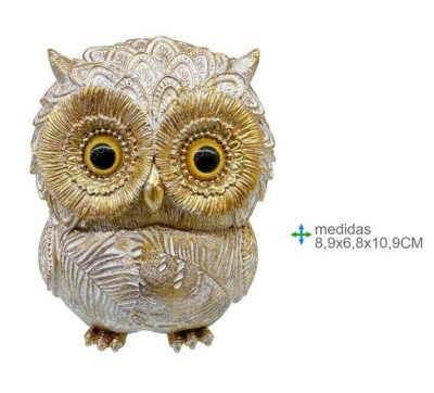 🦉 MOCHO das Boas Notícias