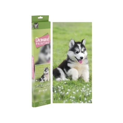 Pinta com Diamantes Husky