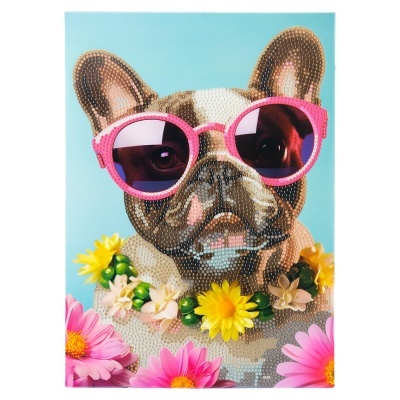 Pinta com Diamantes - Bulldog