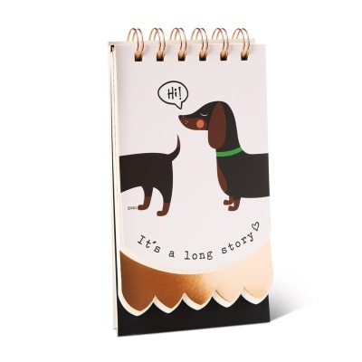 Bloco notas com espiral Cão Basset | Nici