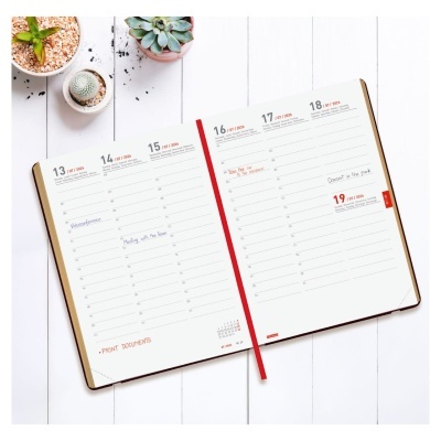 Agenda Semanal Mara 18 Meses 2025/2026 | Finocam