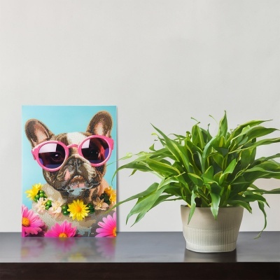 Pinta com Diamantes - Bulldog