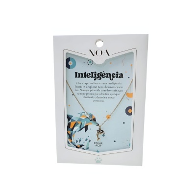 Colar dourado aço com golfinho "Inteligência" | Noa Story