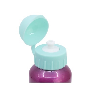 Garrafa Alumínio Skye e Everest Patrulha Pata