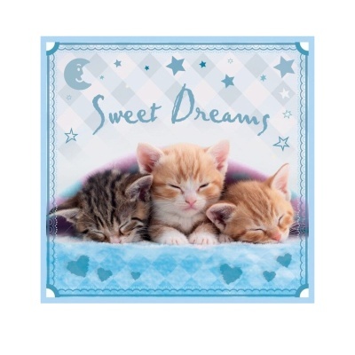 Imagem de três gatinhos dormindo sobre cobertor azul com corações, texto Sweet Dreams