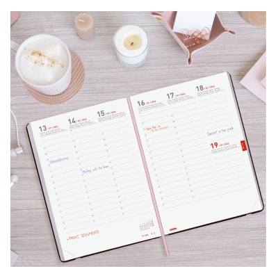 Agenda Diária Mara 18 Meses 2025/2026 | Finocam