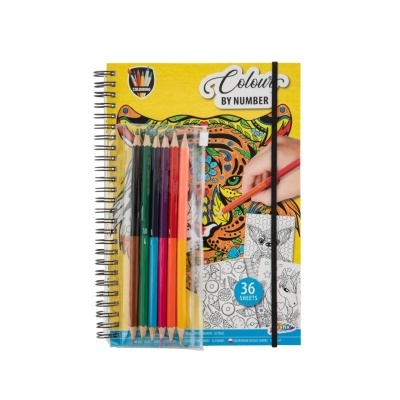 Livro pinta com Números + Lápis de Cor
