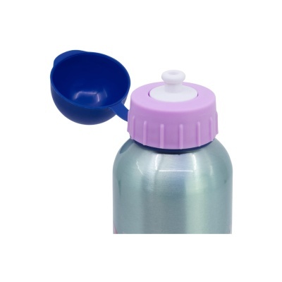 Garrafa Alumínio Frozen