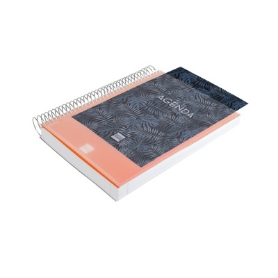 Agenda Diária Sem Datas | Finocam