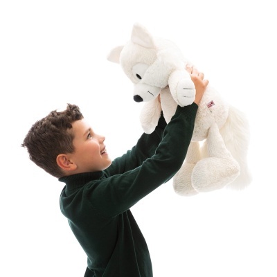 Peluche Raposa Polar Vanja Dreamy Winter | Nici