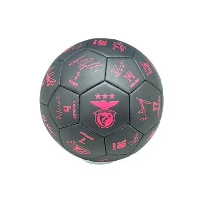 Bola de futebol assinaturas tamanho 5 Benfica | SLB