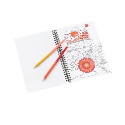 Livro pinta com Números + Lápis de Cor