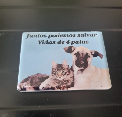 Iman de frigorífico campanha solidária