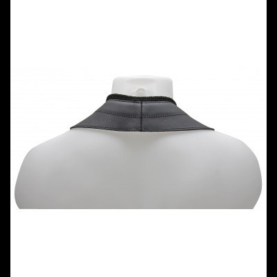 BG S70M (ALTO / TENOR)