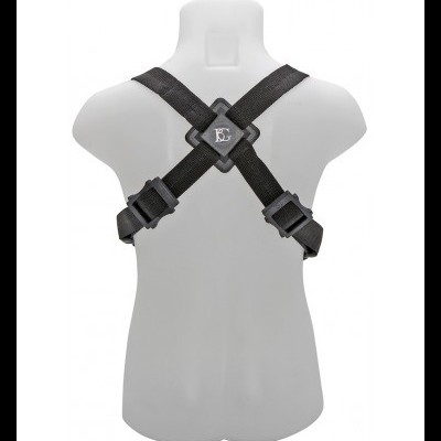 BG S42M (ALTO/TENOR)