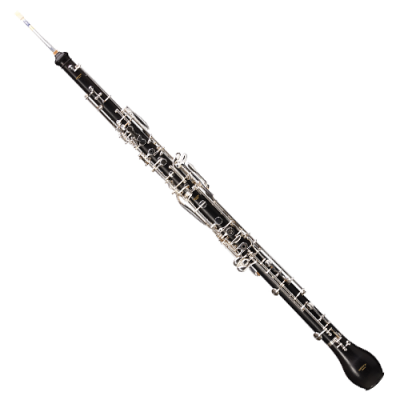 RIGOUTAT PROFESSIONAL