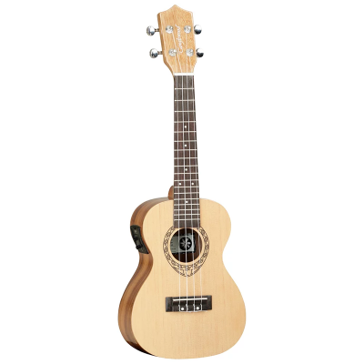 TANGLEWOOD TWT9E
