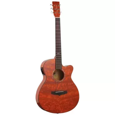 Tanglewood TA4-CE-HN