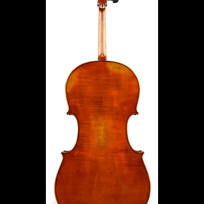 Albert Nebel Series+ VC601+