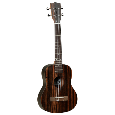 TANGLEWOOD TWT19