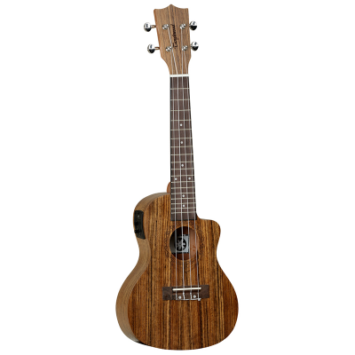 TANGLEWOOD TWT12E