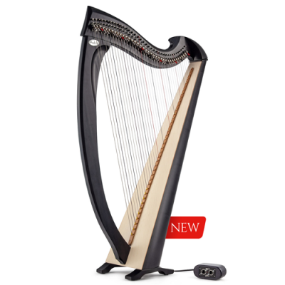 SALVI UNA ELECTROACOUSTIC