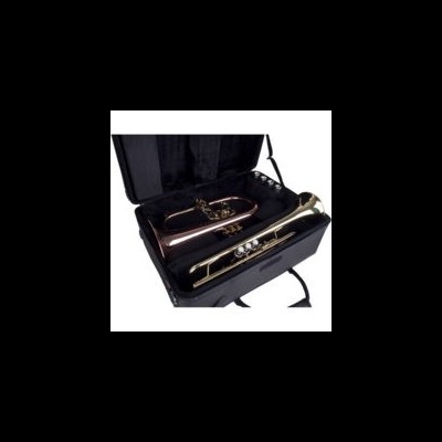 PROTEC PB301F (FLISCORNE / TROMPETE)