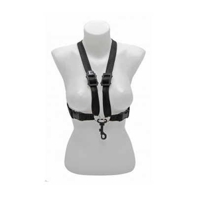 BG S41SH (ALTO / TENOR)