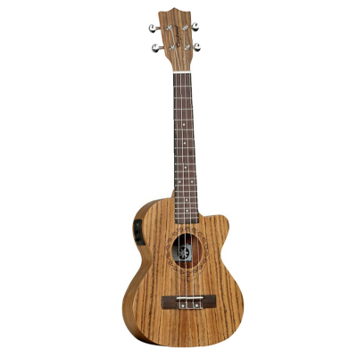 TANGLEWOOD TWT14E