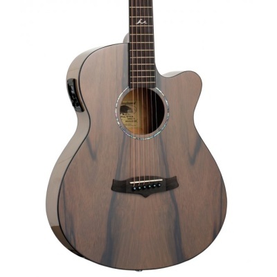 Tanglewood TA4-CE-GY