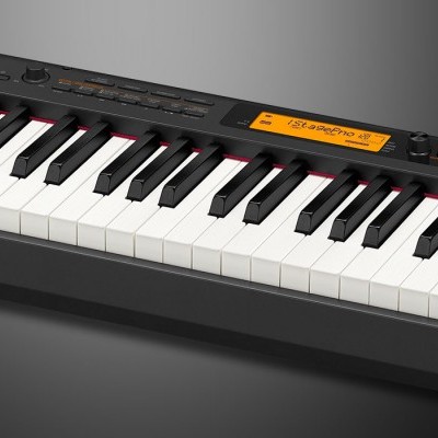 CASIO CDPS350