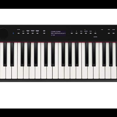 PIANO DIGITAL CASIO PX-S3000