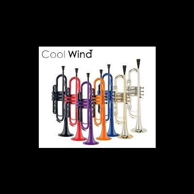 COOLWIND CTR-200