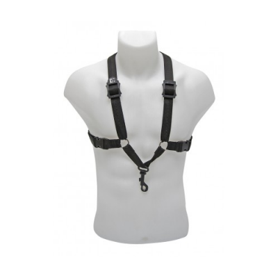 BG S40SH (ALTO / TENOR)